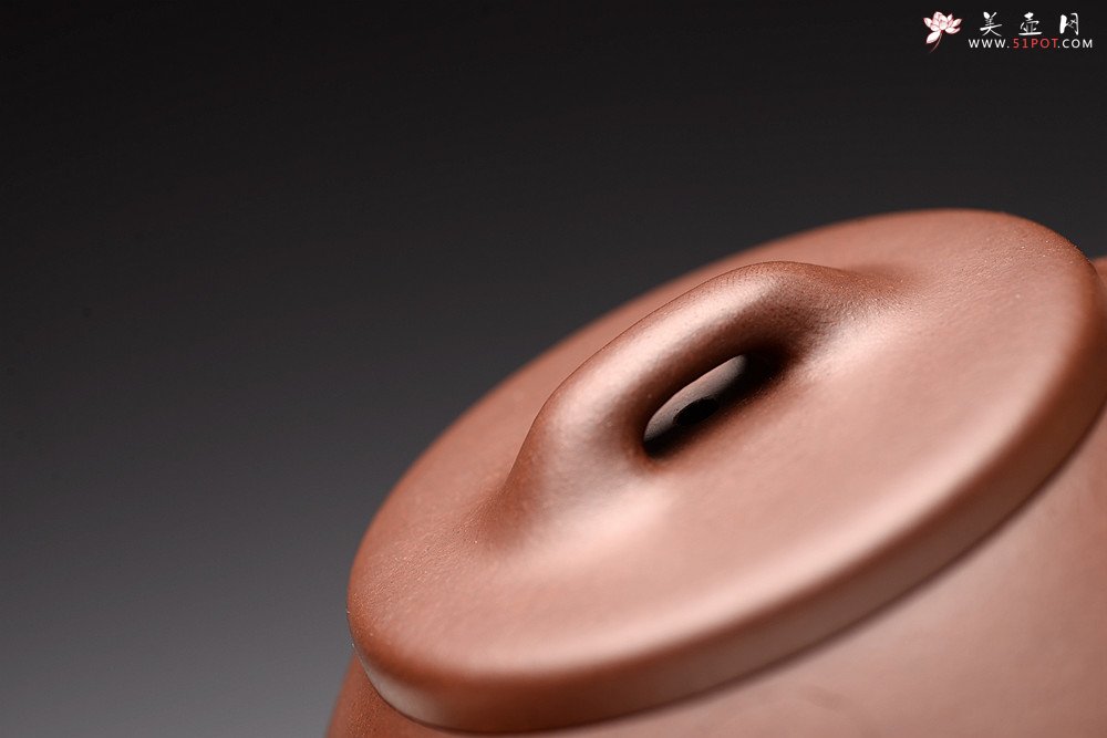 紫砂壶图片：吴杰全手新品 游心堂精心装饰 摹古之东石瓢~ 文气十足 - 宜兴紫砂壶网