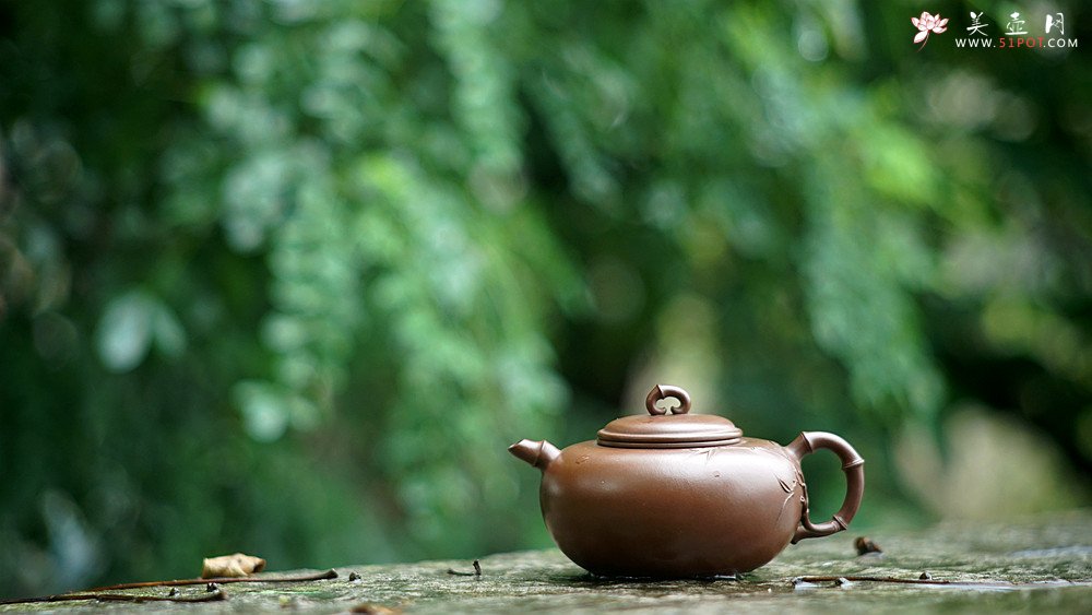 紫砂壶图片：实力派潘丹初丙申夏 优质紫泥  国画入壶 秀雅文气 全手原创福竹o(∩_∩)o - 宜兴紫砂壶网