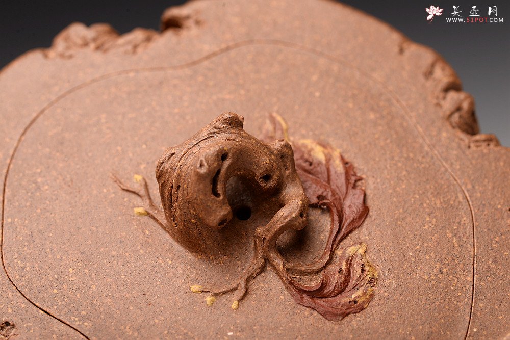 紫砂壶图片：林月长丙申夏全手原创精品 肌理丰富 紫砂新风 学院派 逸林 - 宜兴紫砂壶网