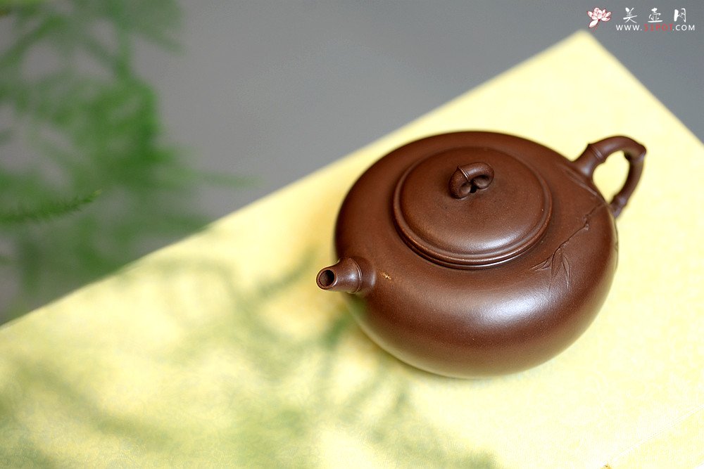 紫砂壶图片：实力派潘丹初丙申夏 优质紫泥  国画入壶 秀雅文气 全手原创福竹o(∩_∩)o - 宜兴紫砂壶网