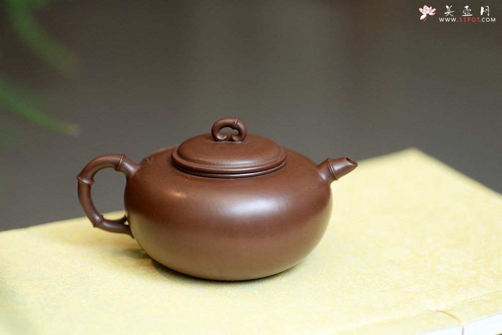 紫砂壶图片：实力派潘丹初丙申夏 优质紫泥  国画入壶 秀雅文气 全手原创福竹o(∩_∩)o - 宜兴紫砂壶网