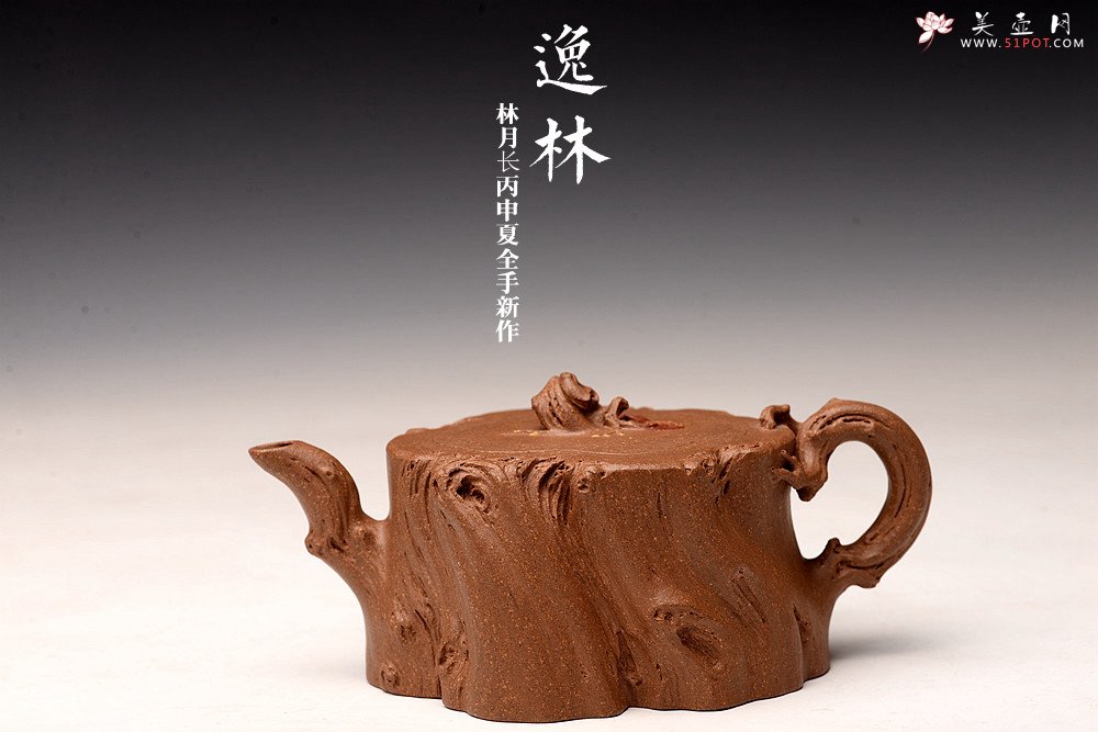 紫砂壶图片：林月长丙申夏全手原创精品 肌理丰富 紫砂新风 学院派 逸林 - 宜兴紫砂壶网