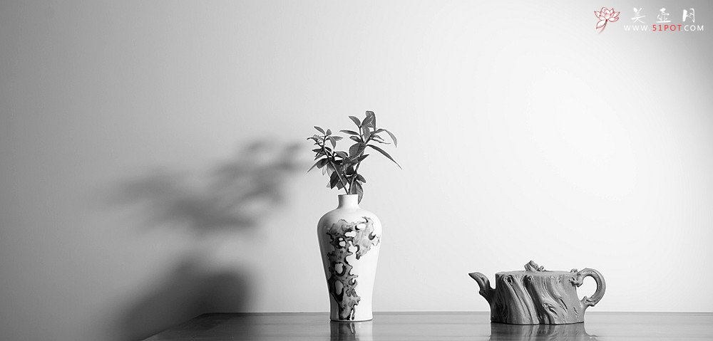 紫砂壶图片：林月长丙申夏全手原创精品 肌理丰富 紫砂新风 学院派 逸林 - 宜兴紫砂壶网