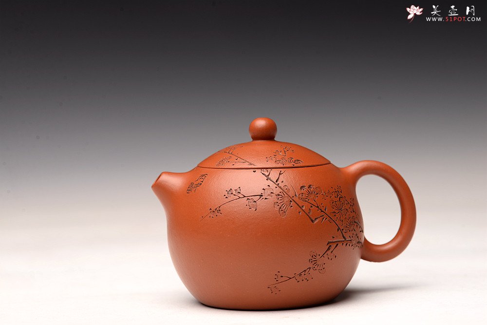 紫砂壶图片：传统经典 娇艳小巧 徐亚春全手西施  陆轶舟老师装饰 梅竹双清 - 宜兴紫砂壶网