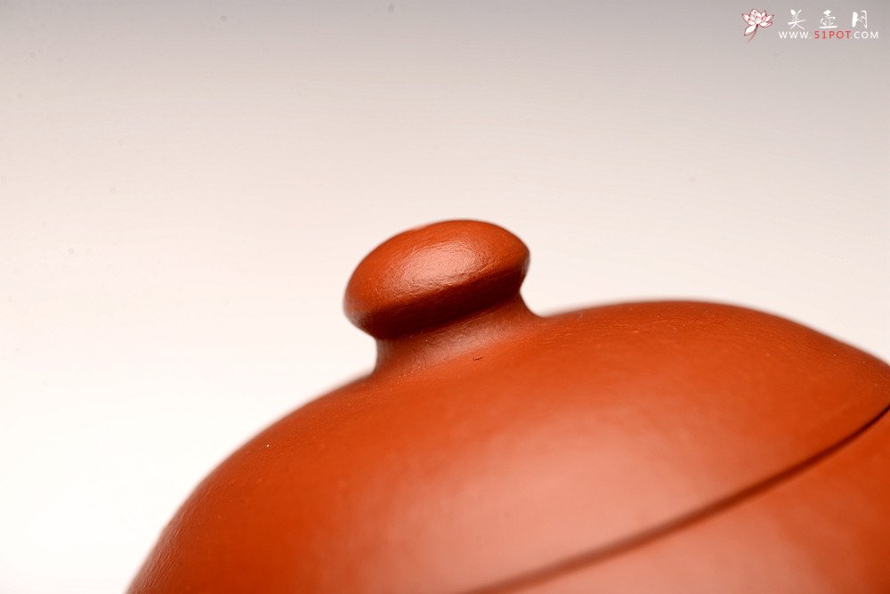 紫砂壶图片：徐亚春丙申夏全手作品 传统实用 优质朱泥 摹古文旦 颇具玩味~ - 宜兴紫砂壶网