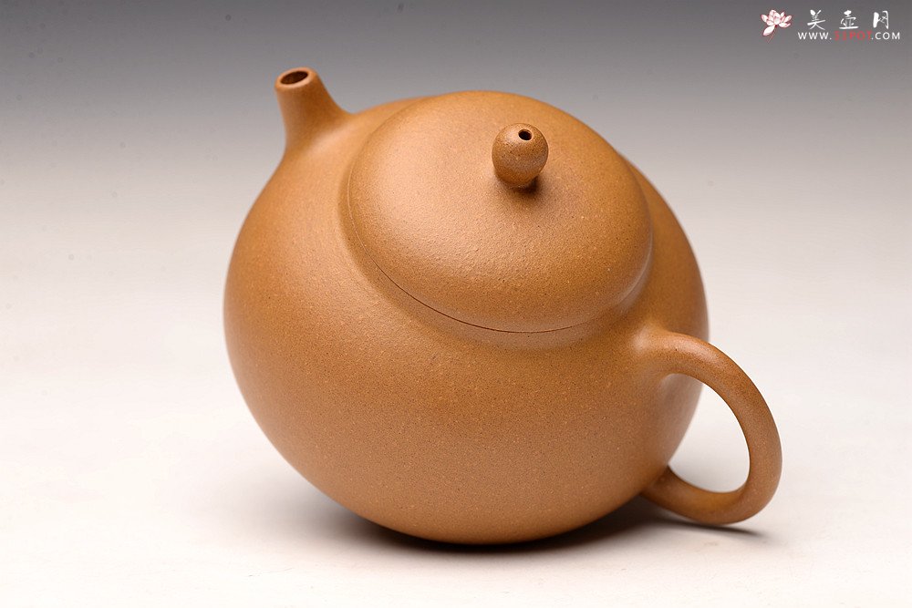紫砂壶图片：周路健丙申夏全手薄胎 娇小迷人 马景辉款式 全手工西施    - 宜兴紫砂壶网
