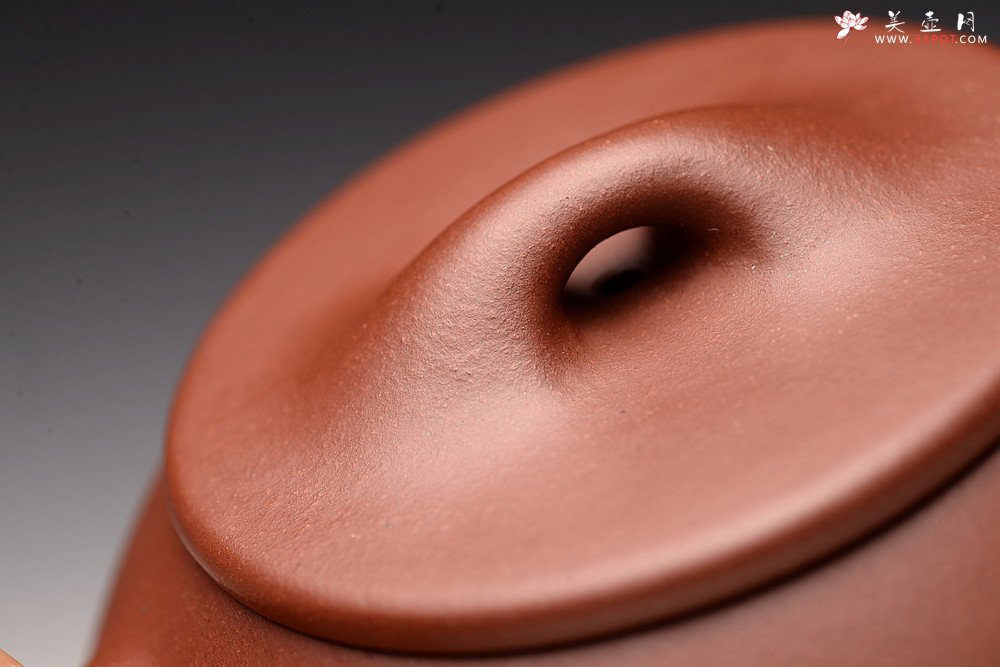 紫砂壶图片：厚重古朴 文人气息 景舟石瓢 送礼自品俱佳 精品 - 宜兴紫砂壶网