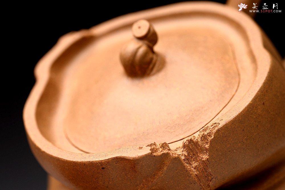 紫砂壶图片：林秀明丙申夏 全手精品 文心入泥 原创作品 永怡 灵秀玩味 - 宜兴紫砂壶网