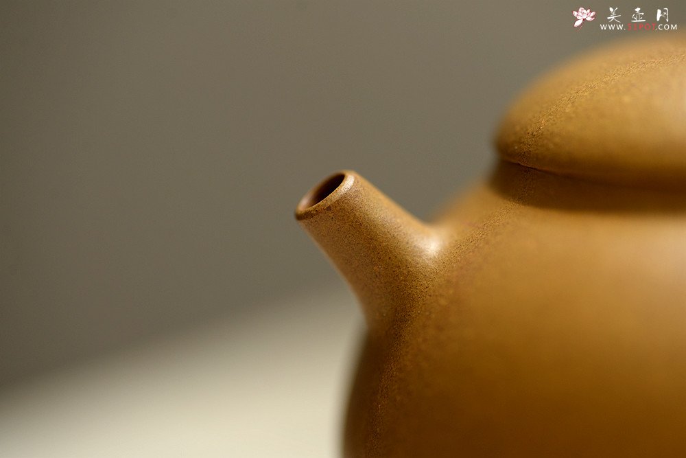 紫砂壶图片：周路健丙申夏全手薄胎 娇小迷人 马景辉款式 全手工西施    - 宜兴紫砂壶网