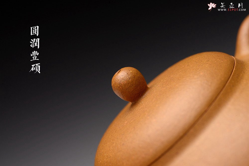 紫砂壶图片：周路健丙申夏全手薄胎 娇小迷人 马景辉款式 全手工西施    - 宜兴紫砂壶网