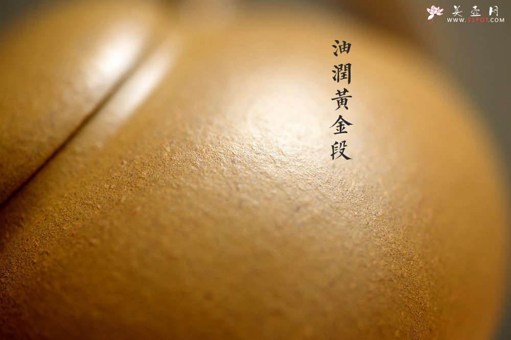 紫砂壶图片：周路健丙申夏全手薄胎 娇小迷人 马景辉款式 全手工西施    - 宜兴紫砂壶网