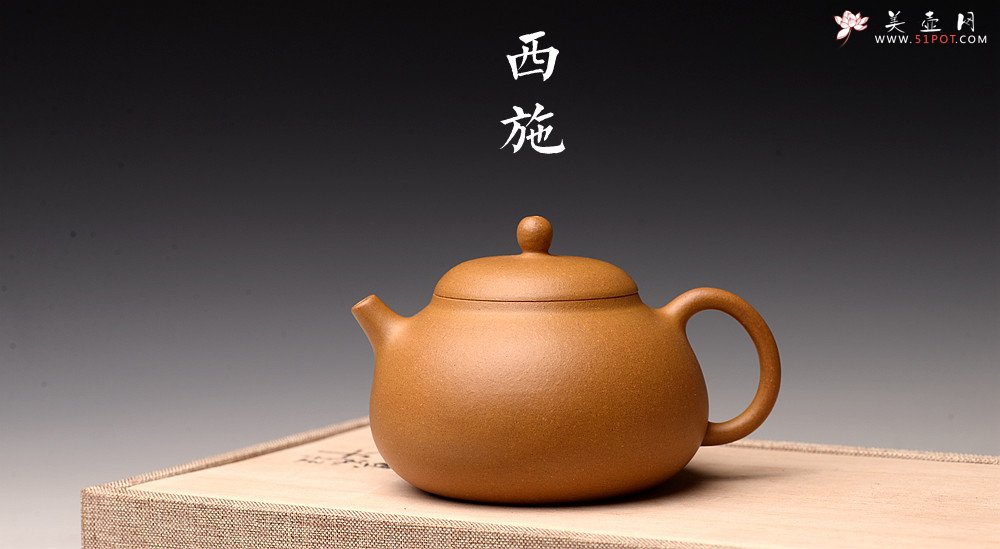 紫砂壶图片：周路健丙申夏全手薄胎 娇小迷人 马景辉款式 全手工西施    - 宜兴紫砂壶网