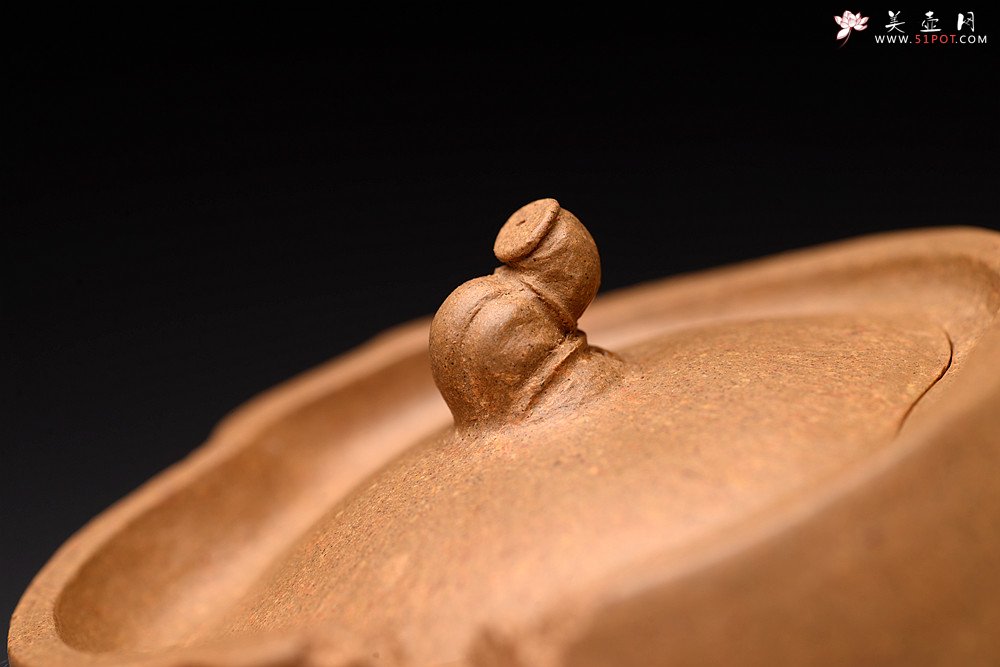 紫砂壶图片：林秀明丙申夏 全手精品 文心入泥 原创作品 永怡 灵秀玩味 - 宜兴紫砂壶网