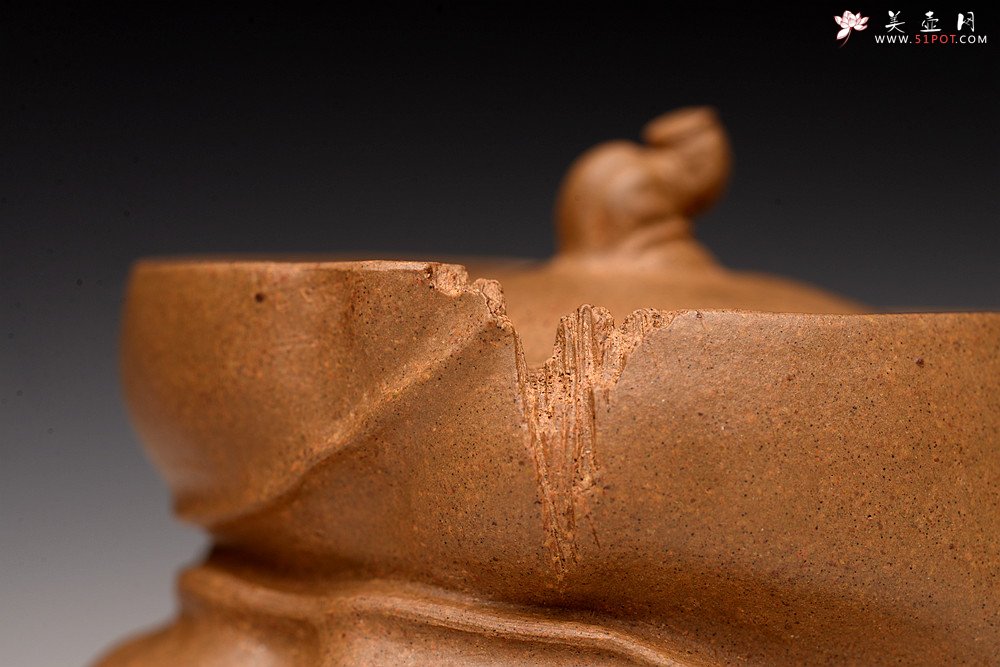 紫砂壶图片：林秀明丙申夏 全手精品 文心入泥 原创作品 永怡 灵秀玩味 - 宜兴紫砂壶网