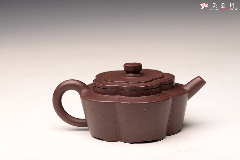 紫砂壶图片：酒虎丙申秋全手新作  梅花周盘 摹古之作 颇具难度 精工 仅此一件 - 宜兴紫砂壶网