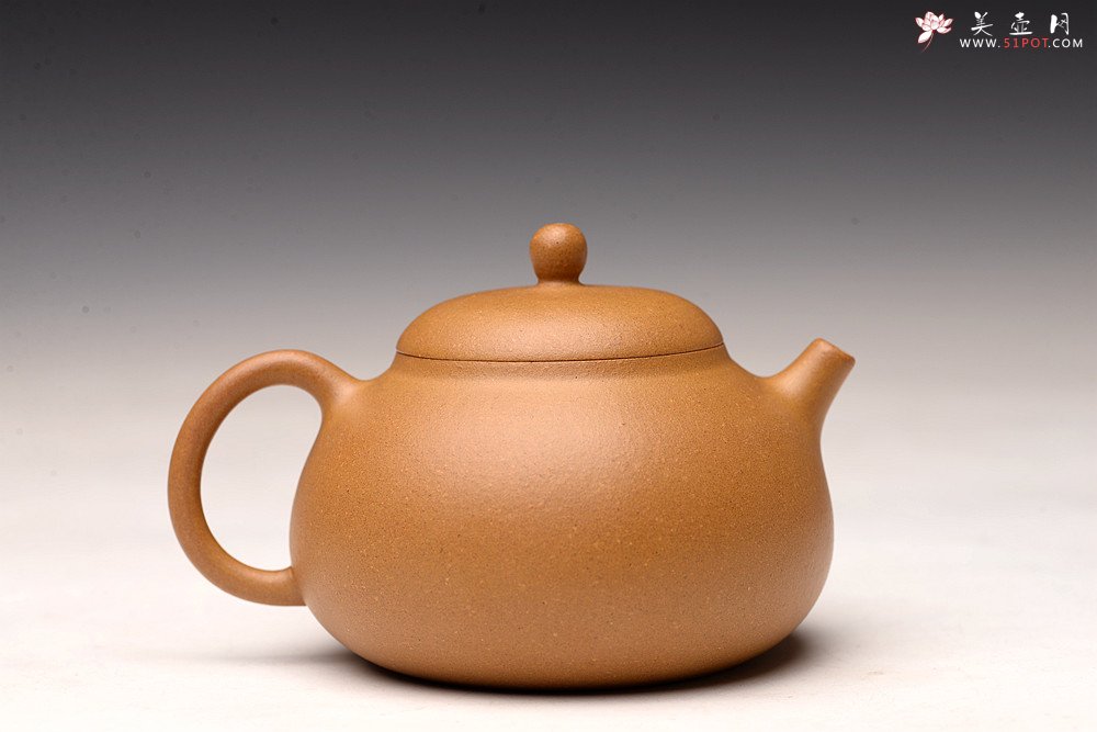 紫砂壶图片：周路健丙申夏全手薄胎 娇小迷人 马景辉款式 全手工西施    - 宜兴紫砂壶网