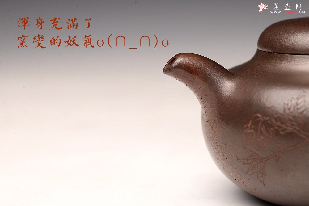 紫砂壶图片：沈秋伟经典作品 气窑窑变 高路精刻 传统全手工 线条舒畅 果元 - 宜兴紫砂壶网