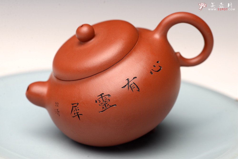 紫砂壶图片：茶盘尤物 原矿纯朱泥 秀珠 饱满俏人 赏玩皆宜,  - 宜兴紫砂壶网