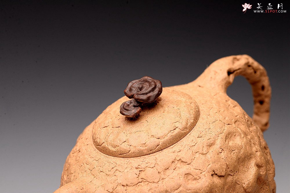 紫砂壶图片：肌理自然生动 全手薄胎灵芝龚春 古朴之味~~~沧桑质感 - 宜兴紫砂壶网