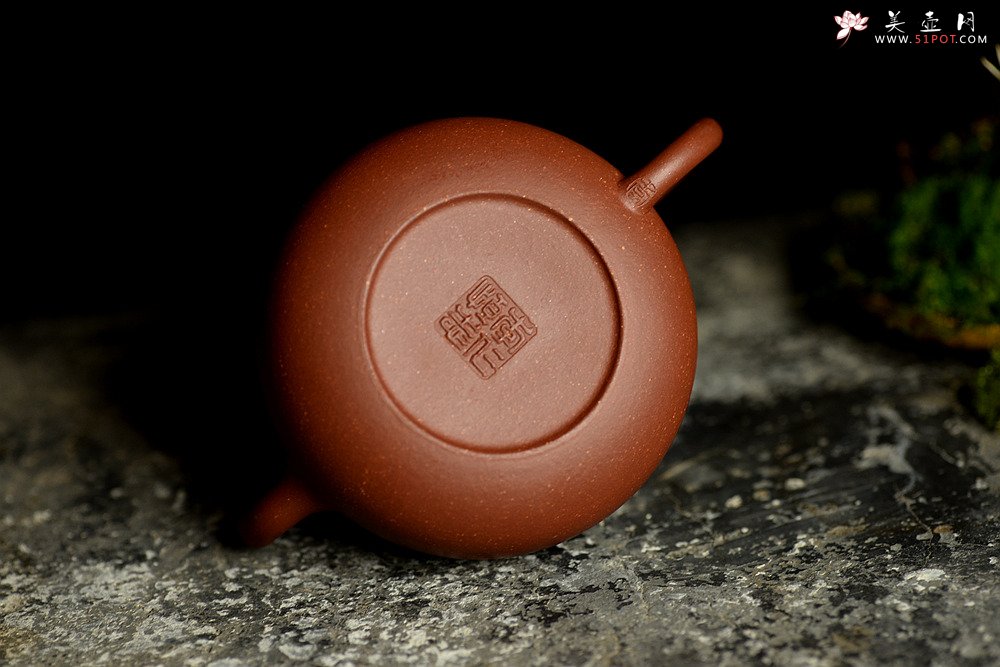 紫砂壶图片：美壶特惠 温文尔雅 大方实用 饮乐 型制耐品 出水暴爽 - 宜兴紫砂壶网