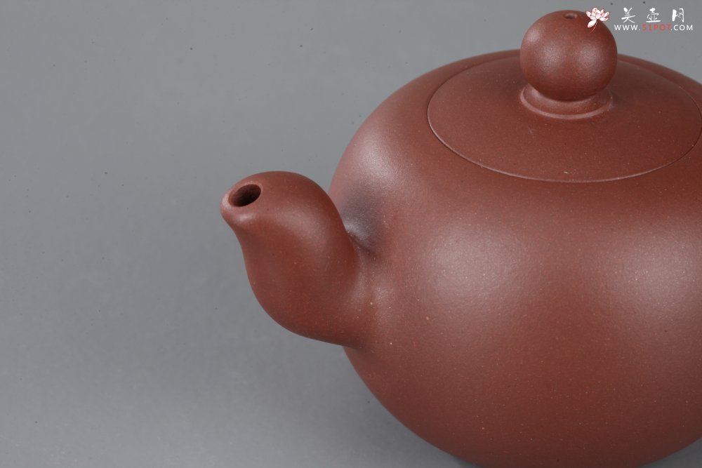 紫砂壶图片：美壶特惠 一粒珠 - 宜兴紫砂壶网