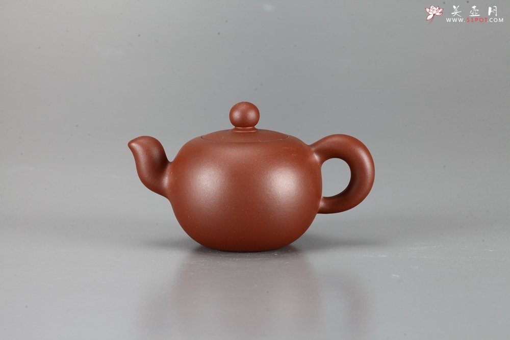 紫砂壶图片：美壶特惠 一粒珠 - 宜兴紫砂壶网
