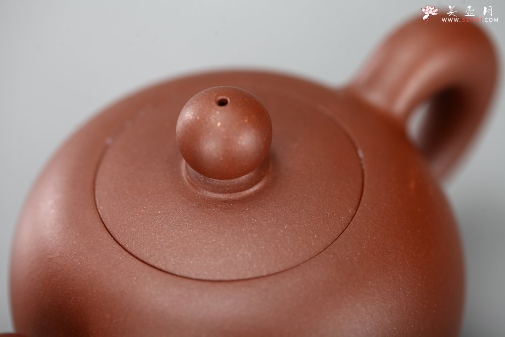 紫砂壶图片：美壶特惠 一粒珠 - 宜兴紫砂壶网