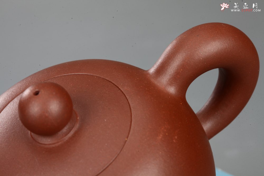 紫砂壶图片：美壶特惠 一粒珠 - 宜兴紫砂壶网