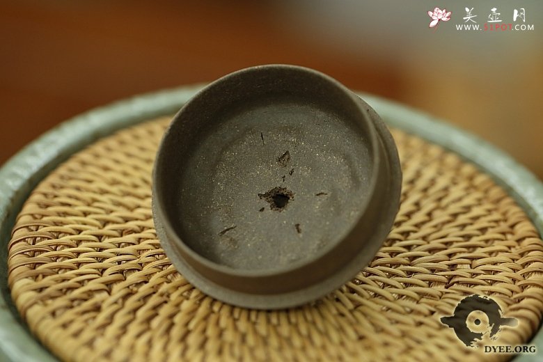 紫砂壶图片：金蟾龚春欣赏 - 宜兴紫砂壶网