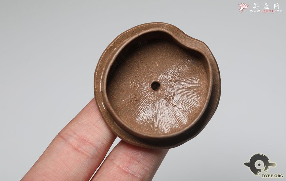 紫砂壶图片：瓜趣欣赏 - 宜兴紫砂壶网