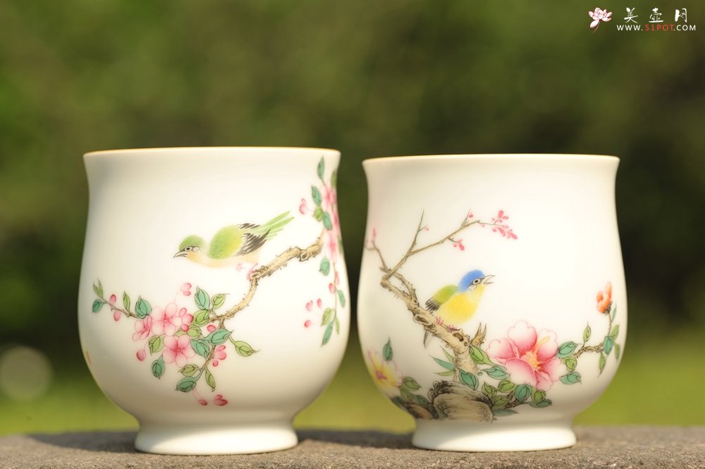 紫砂壶图片：新彩玉光白釉花鸟1 景德镇主人杯 - 宜兴紫砂壶网