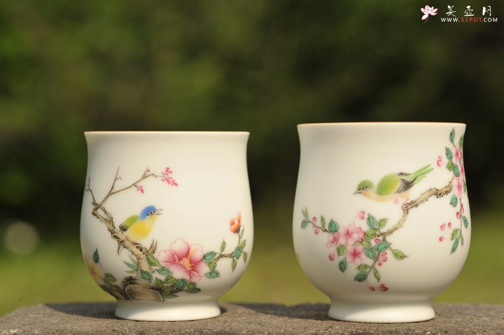 紫砂壶图片：新彩玉光白釉花鸟2 景德镇主人杯 - 宜兴紫砂壶网