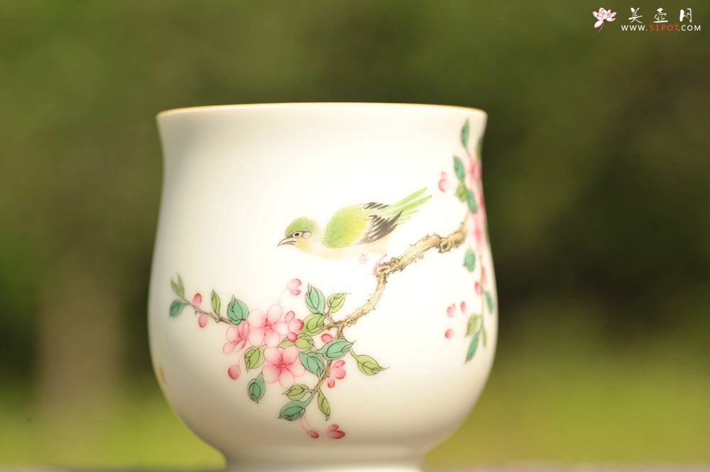 紫砂壶图片：新彩玉光白釉花鸟1 景德镇主人杯 - 宜兴紫砂壶网