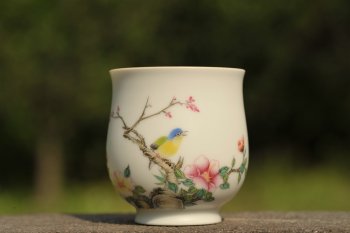 紫砂壶图片：新彩玉光白釉花鸟2 景德镇主人杯 - 宜兴紫砂壶网