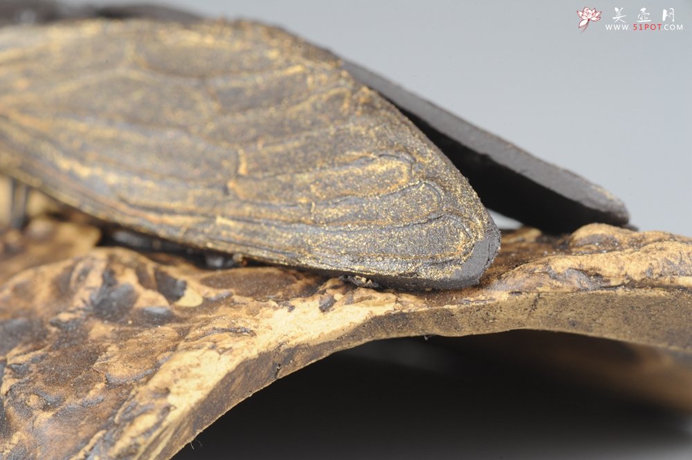 紫砂壶图片：美宠特惠 荔枝熟了，知了声声叫着夏天 - 宜兴紫砂壶网