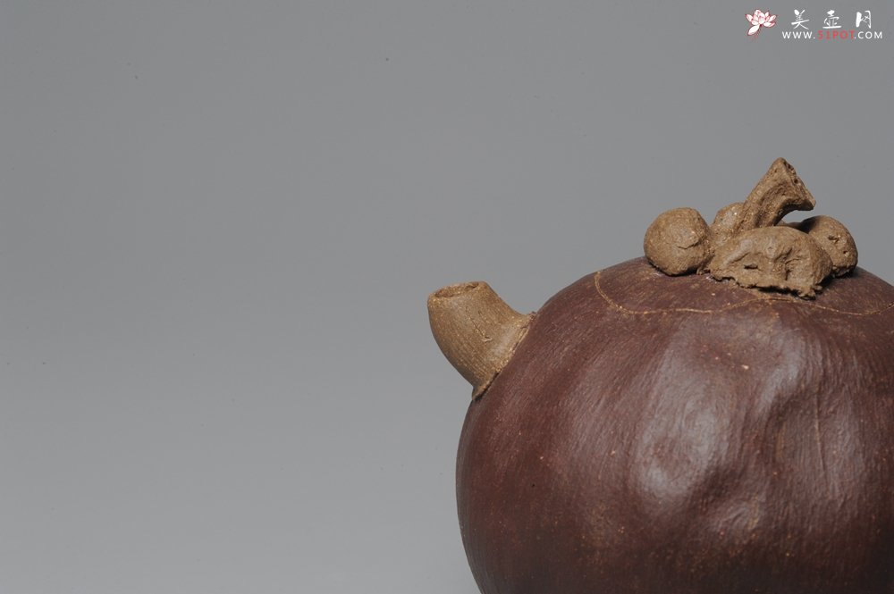 紫砂壶图片：全手工仿生花货 山竹 - 宜兴紫砂壶网