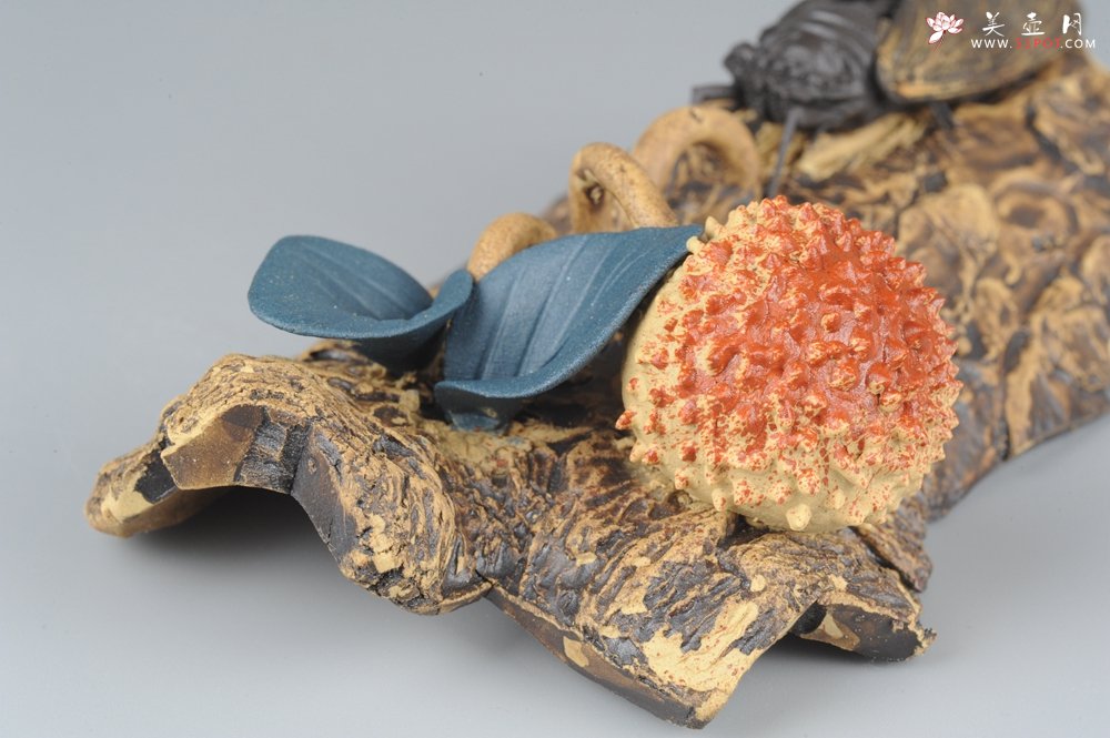 紫砂壶图片：美宠特惠 荔枝熟了，知了声声叫着夏天 - 宜兴紫砂壶网