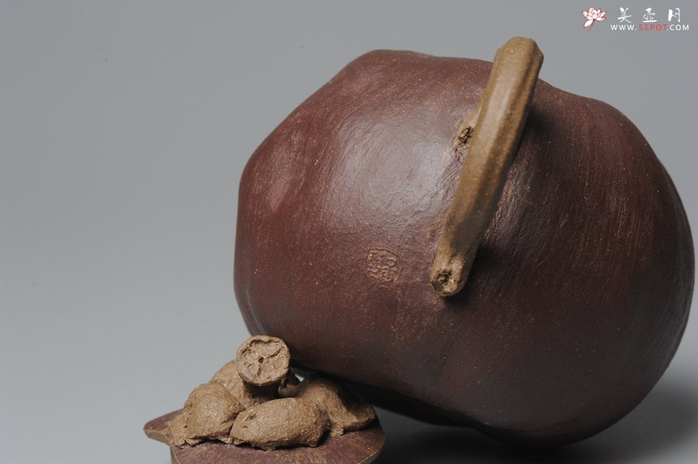 紫砂壶图片：全手工仿生花货 山竹 - 宜兴紫砂壶网