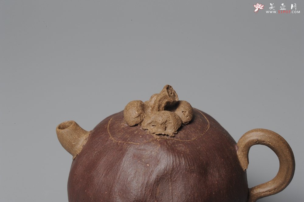 紫砂壶图片：全手工仿生花货 山竹 - 宜兴紫砂壶网