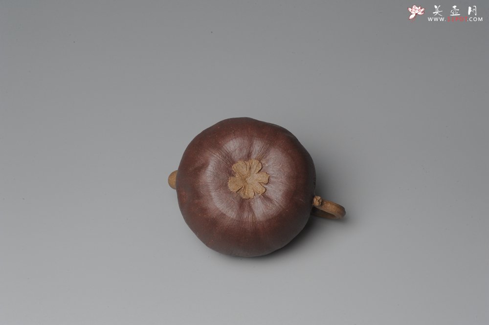 紫砂壶图片：全手工仿生花货 山竹 - 宜兴紫砂壶网