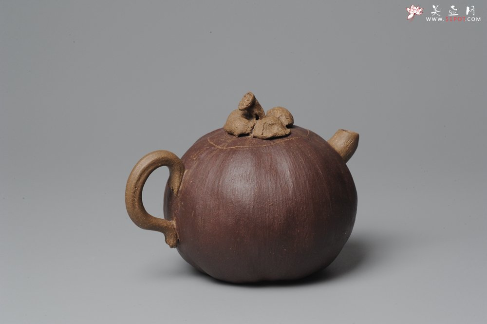 紫砂壶图片：全手工仿生花货 山竹 - 宜兴紫砂壶网