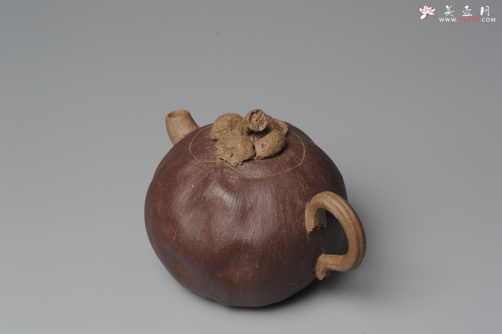 紫砂壶图片：全手工仿生花货 山竹 - 宜兴紫砂壶网