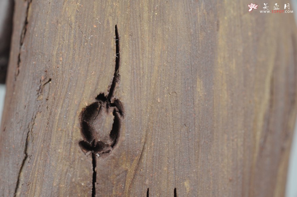 紫砂壶图片：大号树桩达摩 神态生动 精致茶宠 - 宜兴紫砂壶网