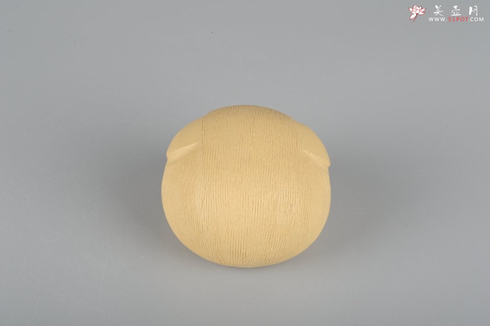 紫砂壶图片：美宠特惠拉毛小猪茶宠摆件 随机发一只 - 宜兴紫砂壶网