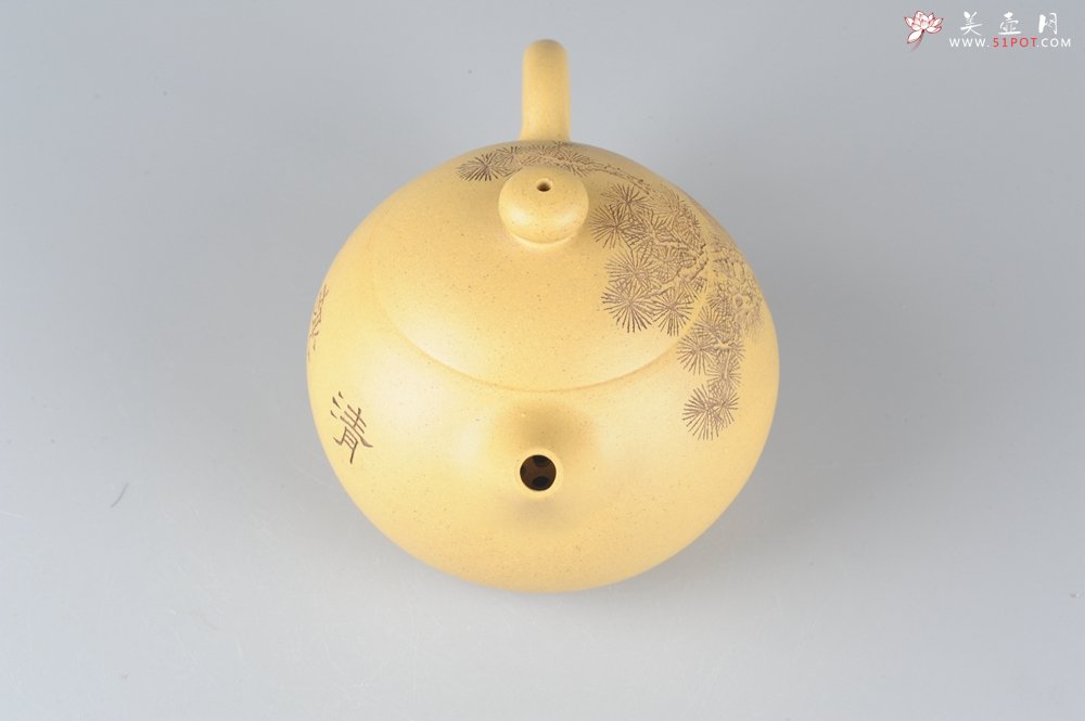 紫砂壶图片：国助唐文本绿西施  端庄 助工袁德波装饰  - 宜兴紫砂壶网