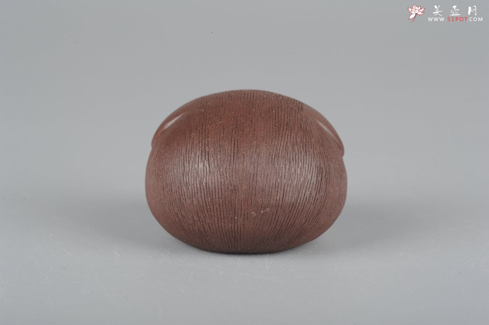 紫砂壶图片：美宠特惠拉毛小猪茶宠摆件 随机发一只 - 宜兴紫砂壶网