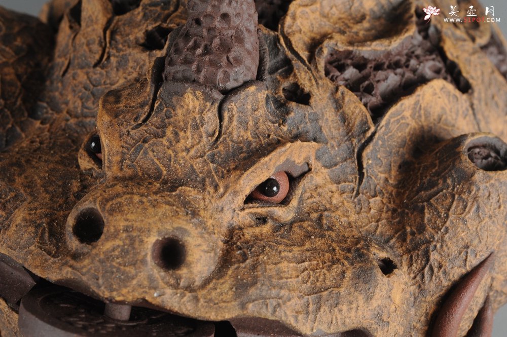 紫砂壶图片：特惠醉美树皮金蟾茶宠 灵性十足 寓意招财进宝 - 宜兴紫砂壶网