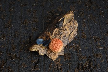 紫砂壶图片：美宠特惠 荔枝熟了，知了声声叫着夏天 - 宜兴紫砂壶网