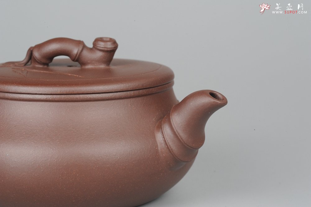紫砂壶图片：美壶特惠 逸竹 端庄秀雅 - 宜兴紫砂壶网