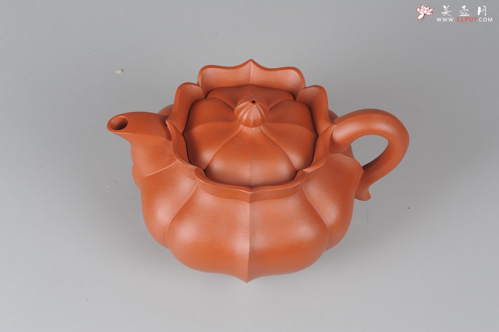 紫砂壶图片：优质小红泥莲花僧帽 线条干净利落 - 宜兴紫砂壶网